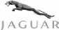 Jaguar Logo